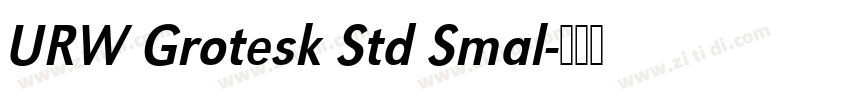 URW Grotesk Std Smal字体转换